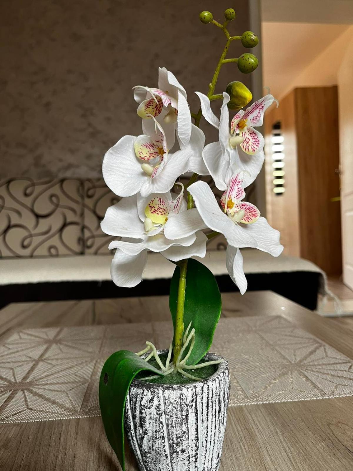 Apartmani Nikolic Višegrad Camera foto
